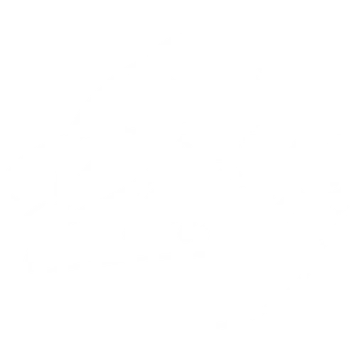 Art of Prime logo